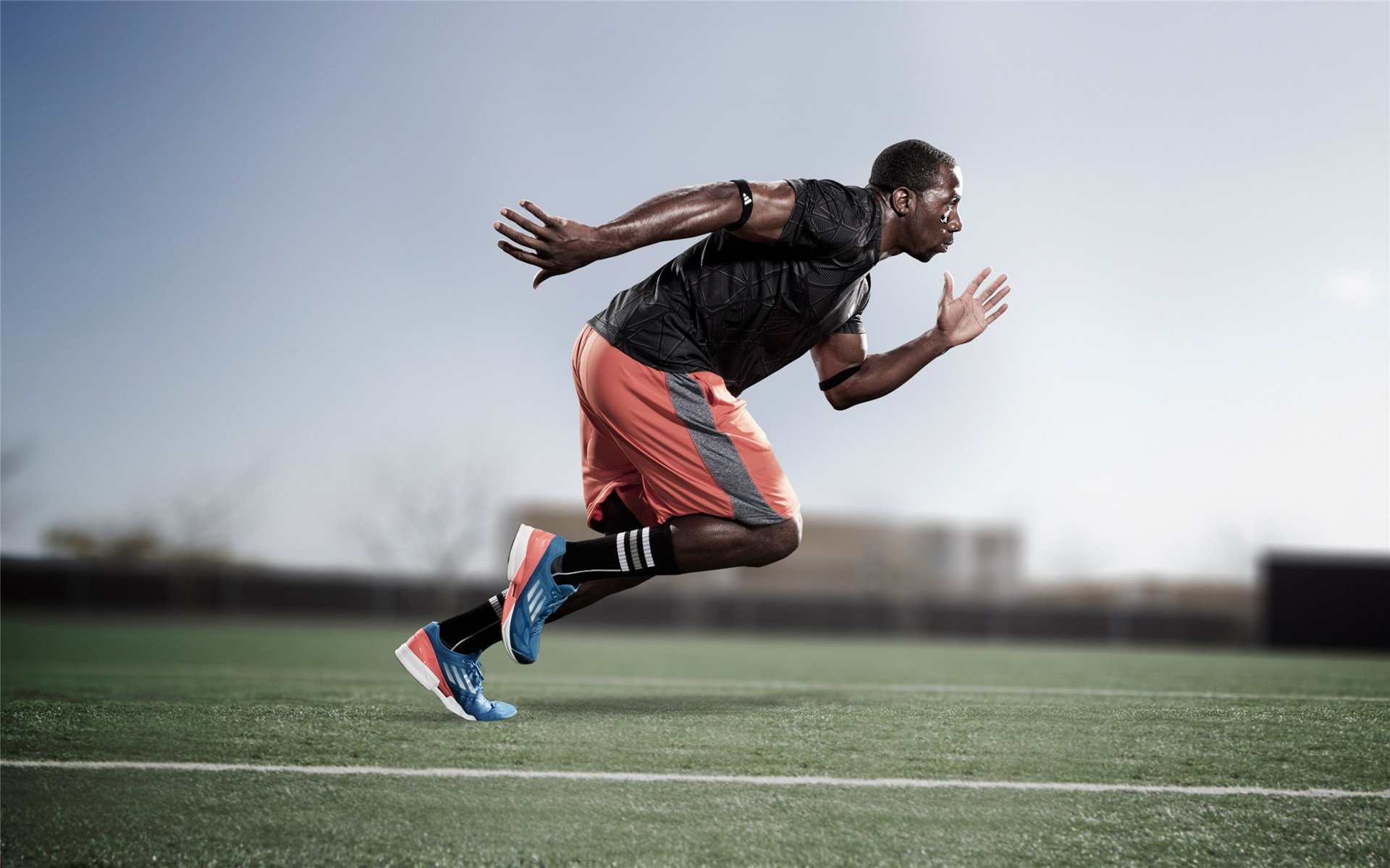 世界羽毛球锦标赛中国队实现“金牌满堂”